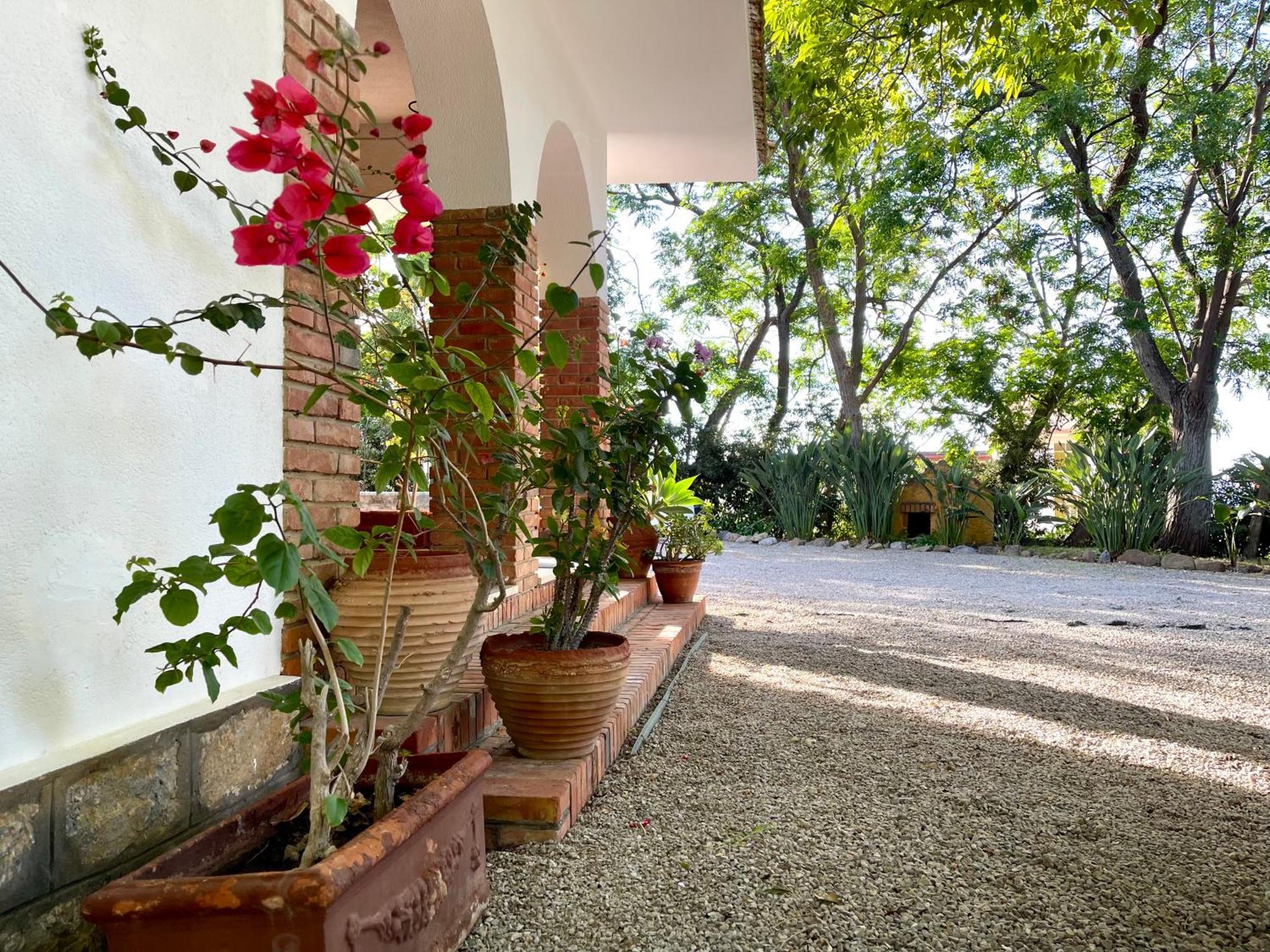 Villa Tana Pacenzia Чефалу Екстериор снимка